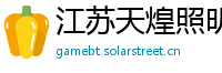 江苏天煌照明集团有限公司